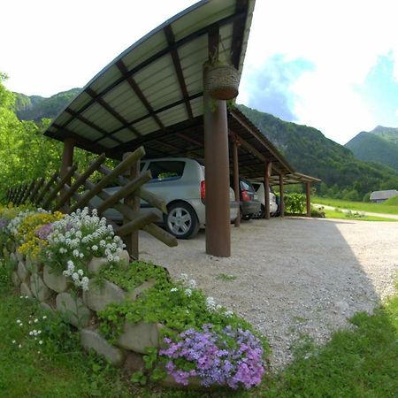 Apartma Bel Zaga Extérieur photo