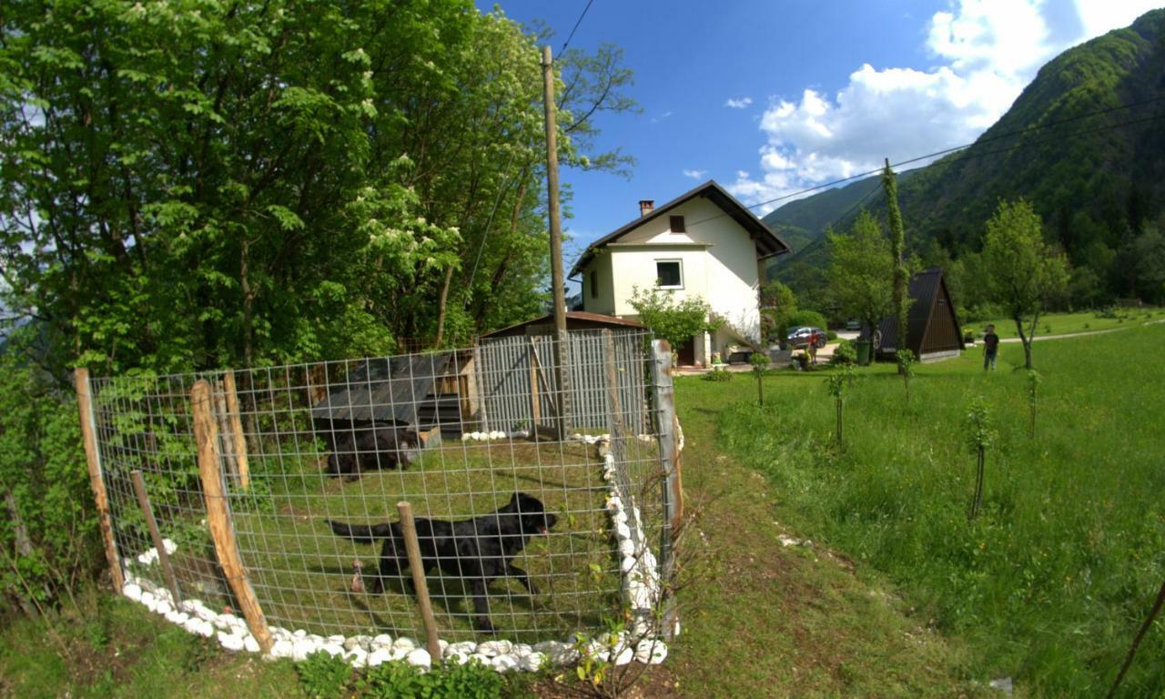 Apartma Bel Zaga Extérieur photo